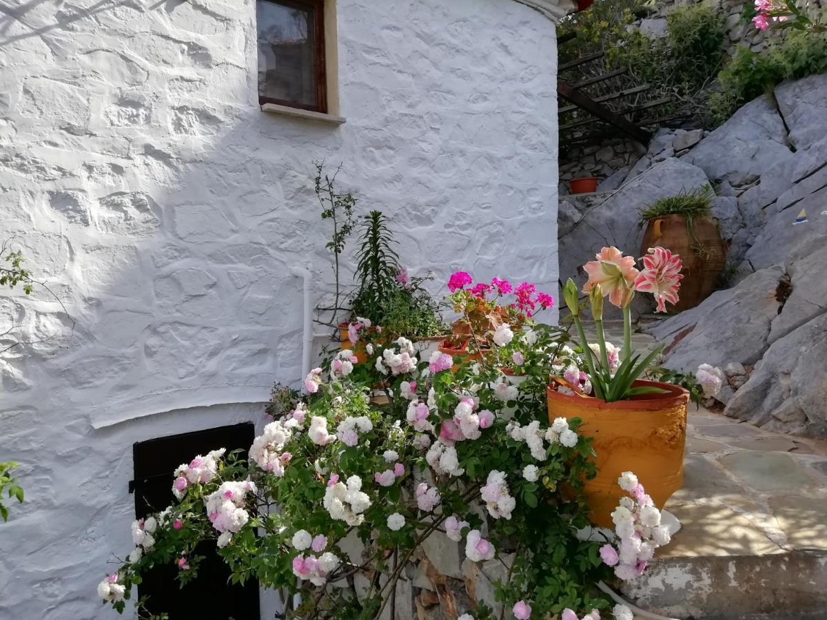Arbeli House Vila Mandraki  Exterior foto